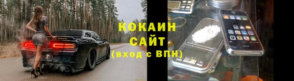 СК Пересвет