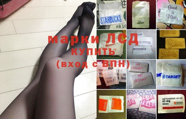 ПСИЛОЦИБИНОВЫЕ ГРИБЫ Алексин