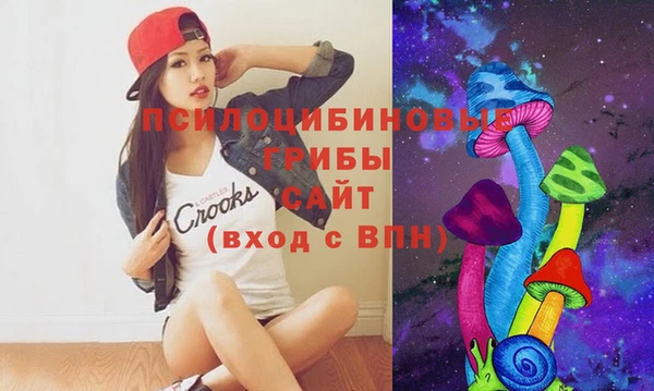 ПСИЛОЦИБИНОВЫЕ ГРИБЫ Алексин