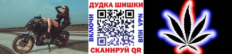 Бошки марихуана сатива  кракен маркетплейс  Нововоронеж 